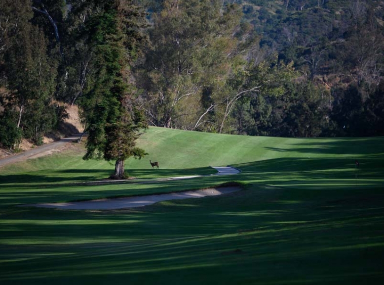 Griffith Park Wilson Harding Golf Course FilmLA Reservations