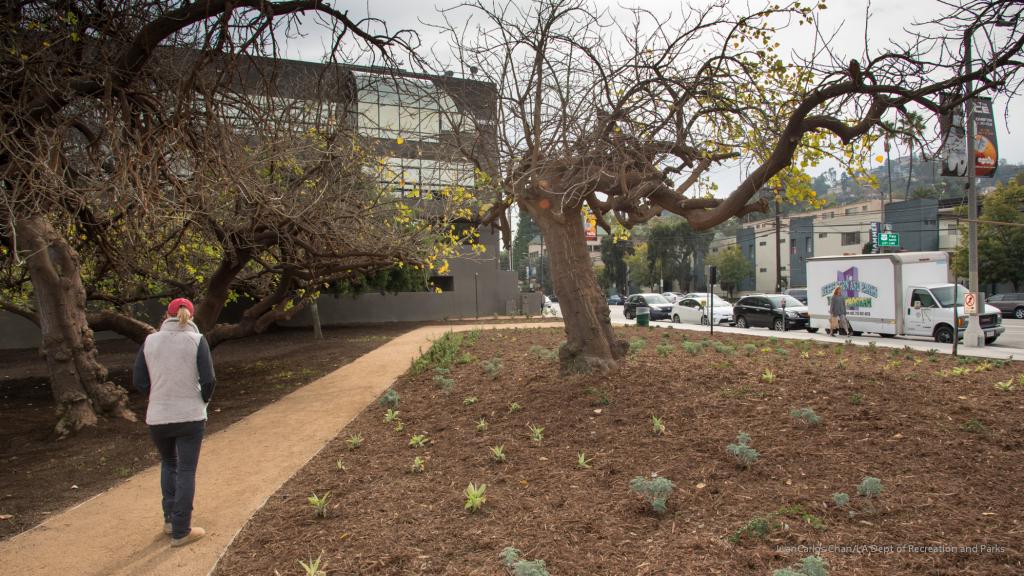 paseo-cahuenga-improvements-79